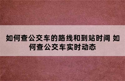 如何查公交车的路线和到站时间 如何查公交车实时动态